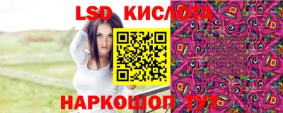 индика Ливны