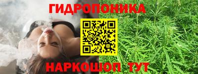 прущие грибы Кунгур