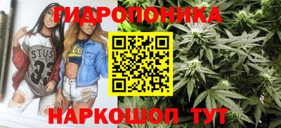 индика Ливны