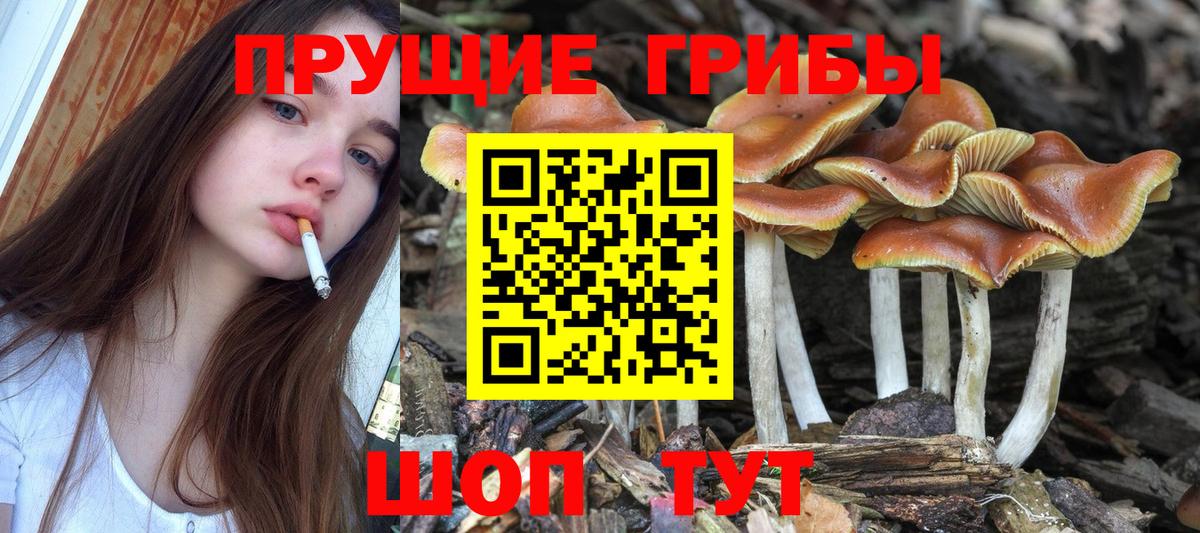 Псилоцибиновые грибы ЛСД Домодедово