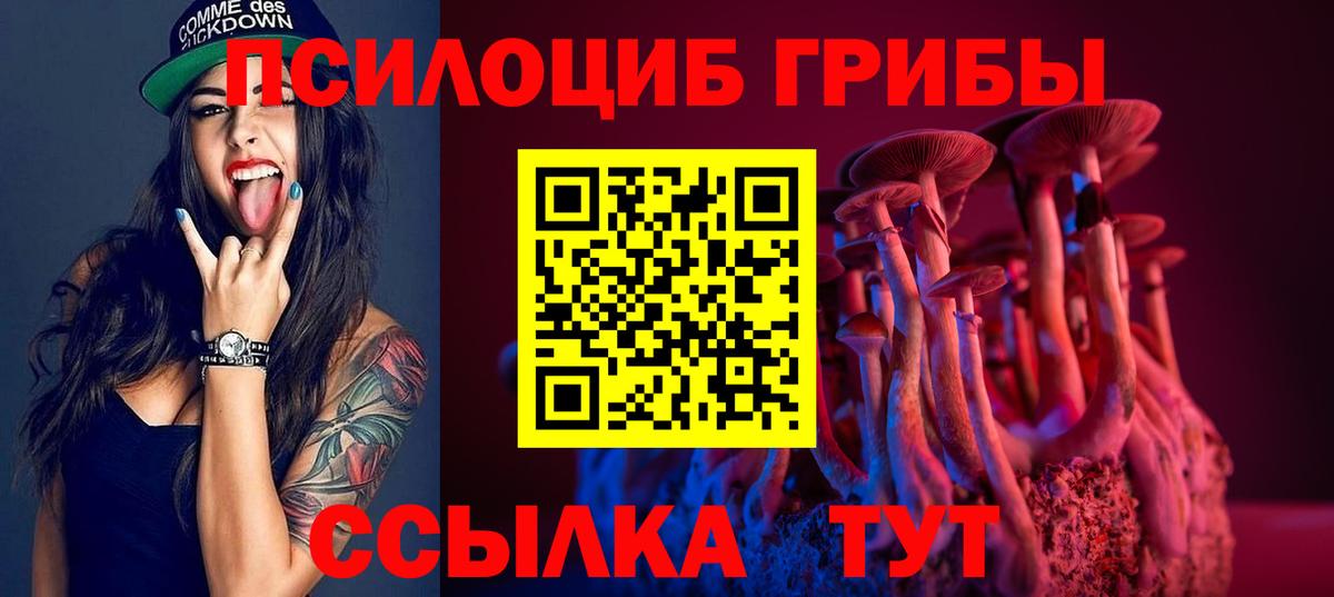 Домодедово  Галлюциногенные грибы Cubensis  Вход с VPN 